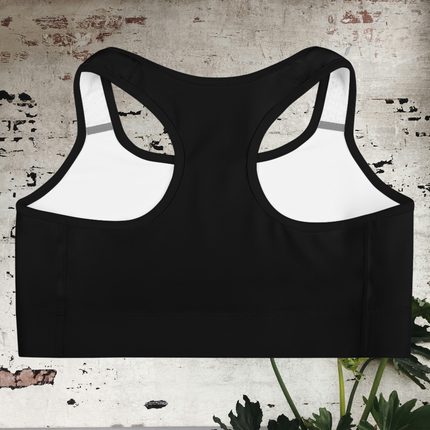 KnuRoot Women's Black Sports Bra